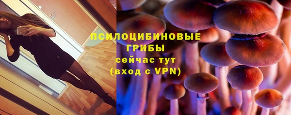 каннабис Алексеевка