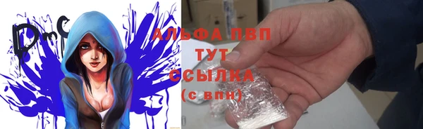 дурь Алексин