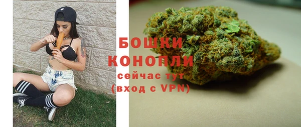 стаф Протвино