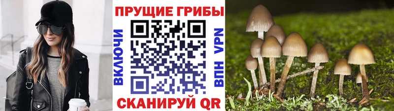 Галлюциногенные грибы GOLDEN TEACHER  цены наркотик  Мичуринск 